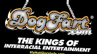 publik-agent-all-video