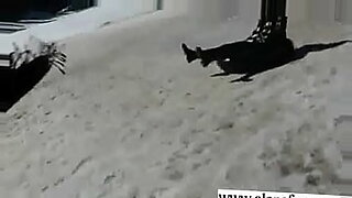 sangay-pornhub-namin