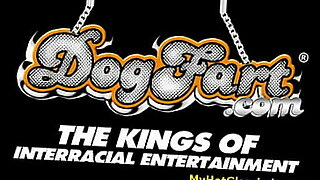 png-live-video-koap
