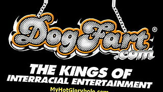 compilation-dog-fuck