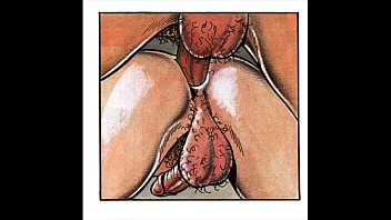 vagina and nipples