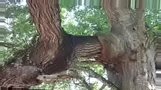 শ্যামনগরের-জামাই-আর-সালি-xx